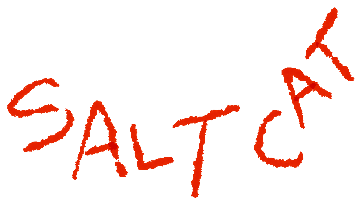 Salt Cat Studio — handwritten wordmark