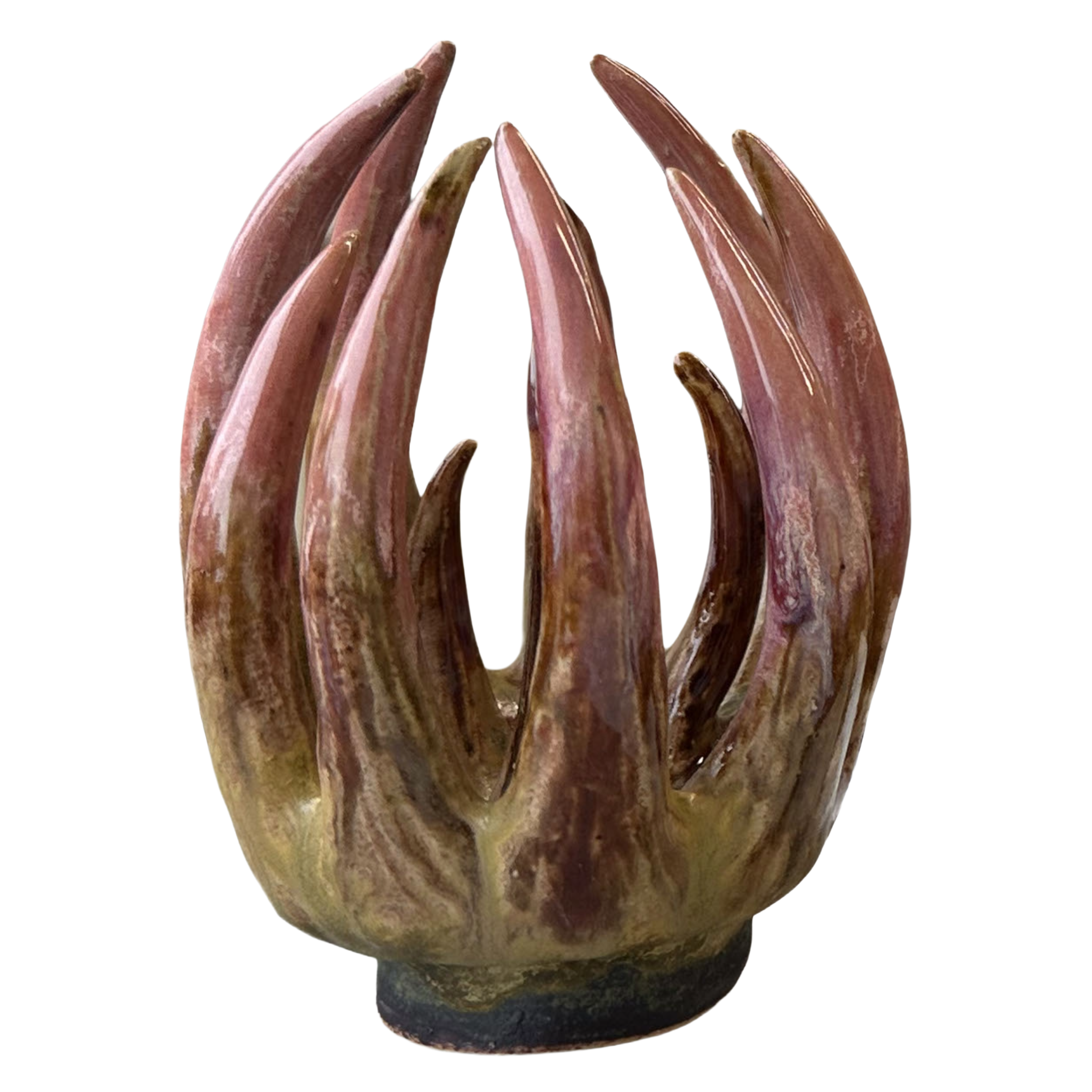 Spiky fungi ring holder